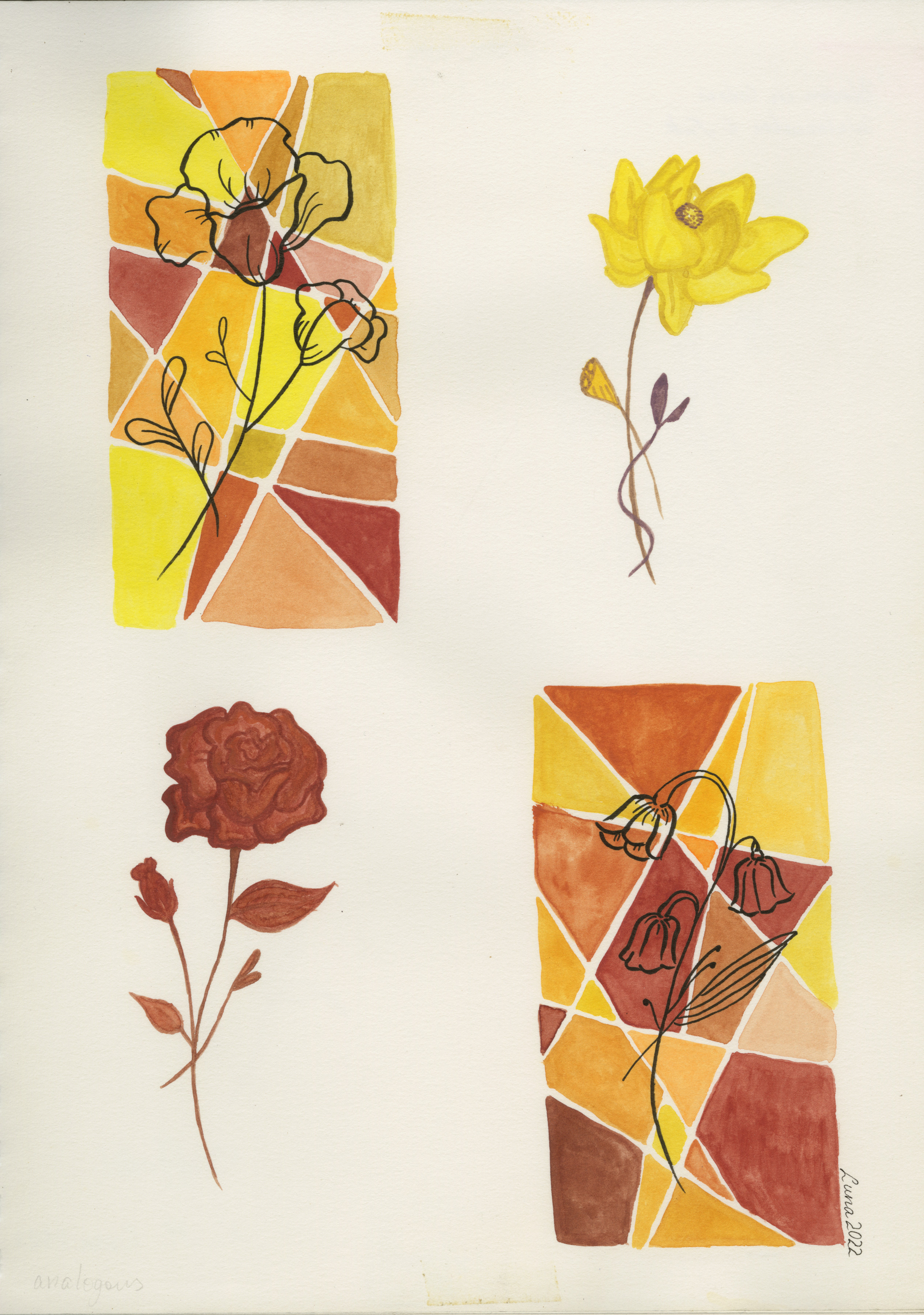 A Study in Bloom No. 1