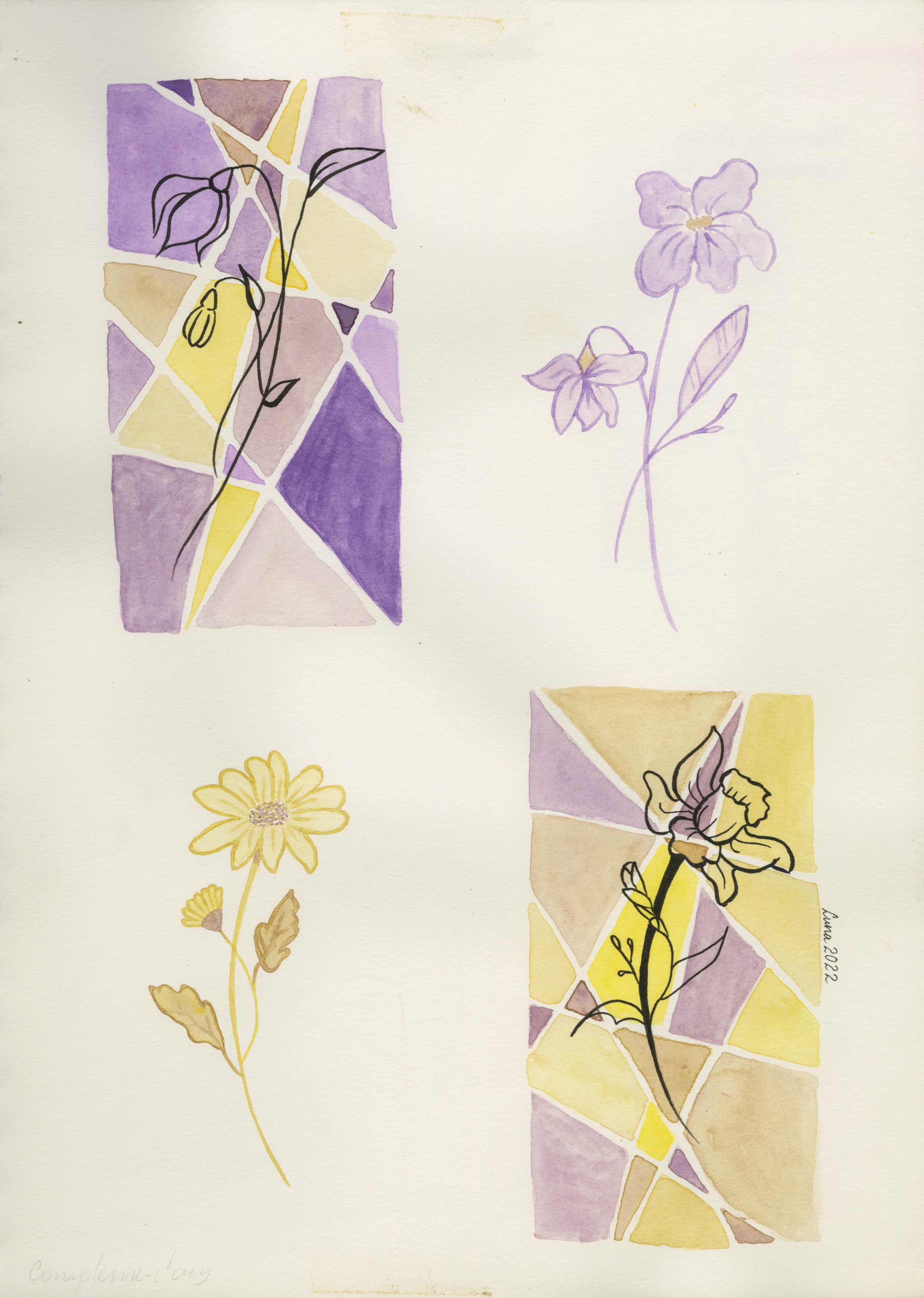 A Study in Bloom No. 2