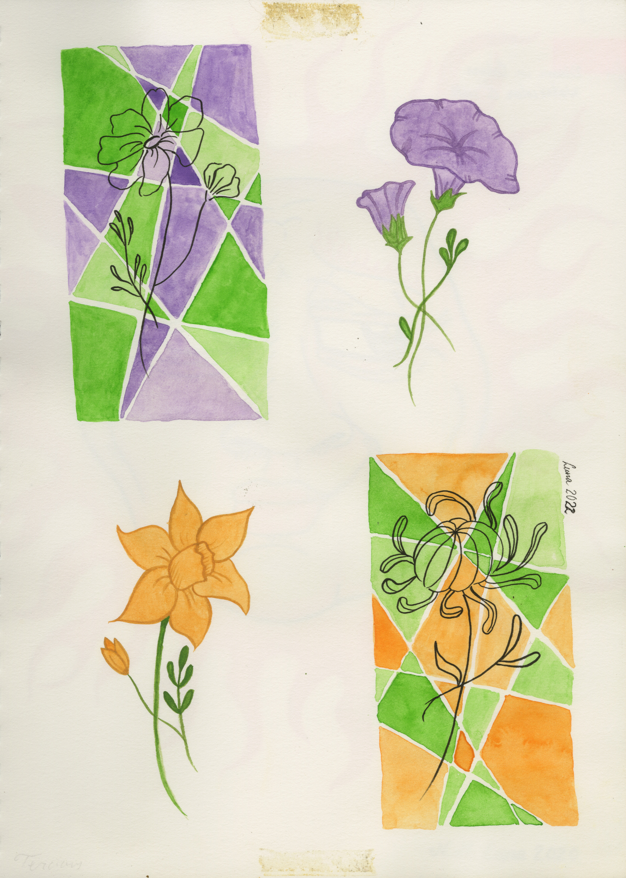 A Study in Bloom No. 3